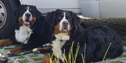 karon und kira